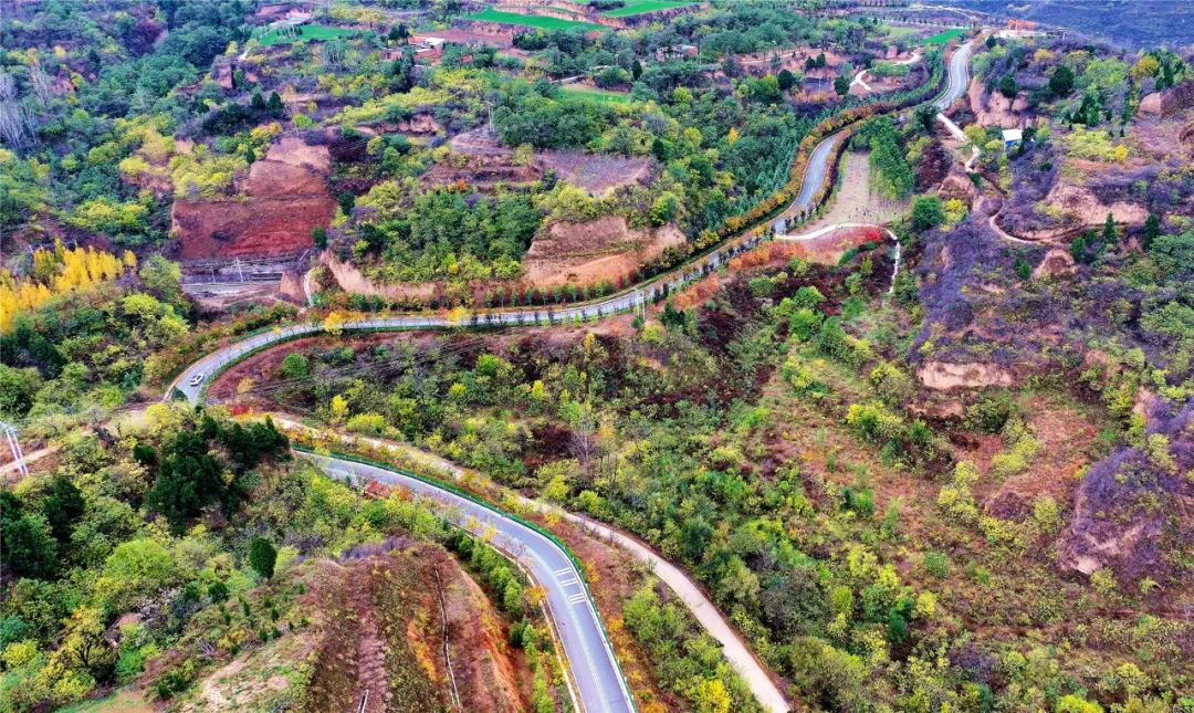 洛阳孟津最美公路图片