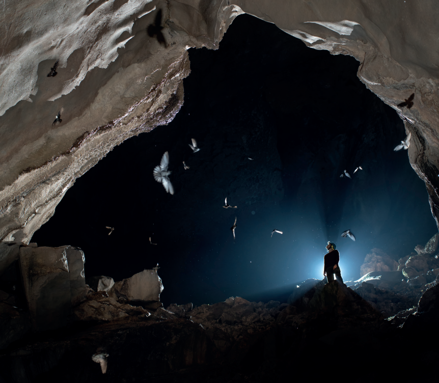 豆瓣8.8，斩获文津奖！这本书带你直击地心深处，开地球的 “盲盒”！