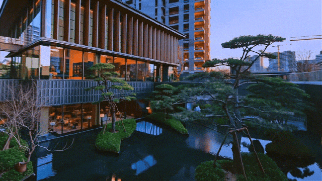 卧龙岗 电影