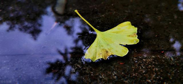 被雨淋湿的心情,你懂吗