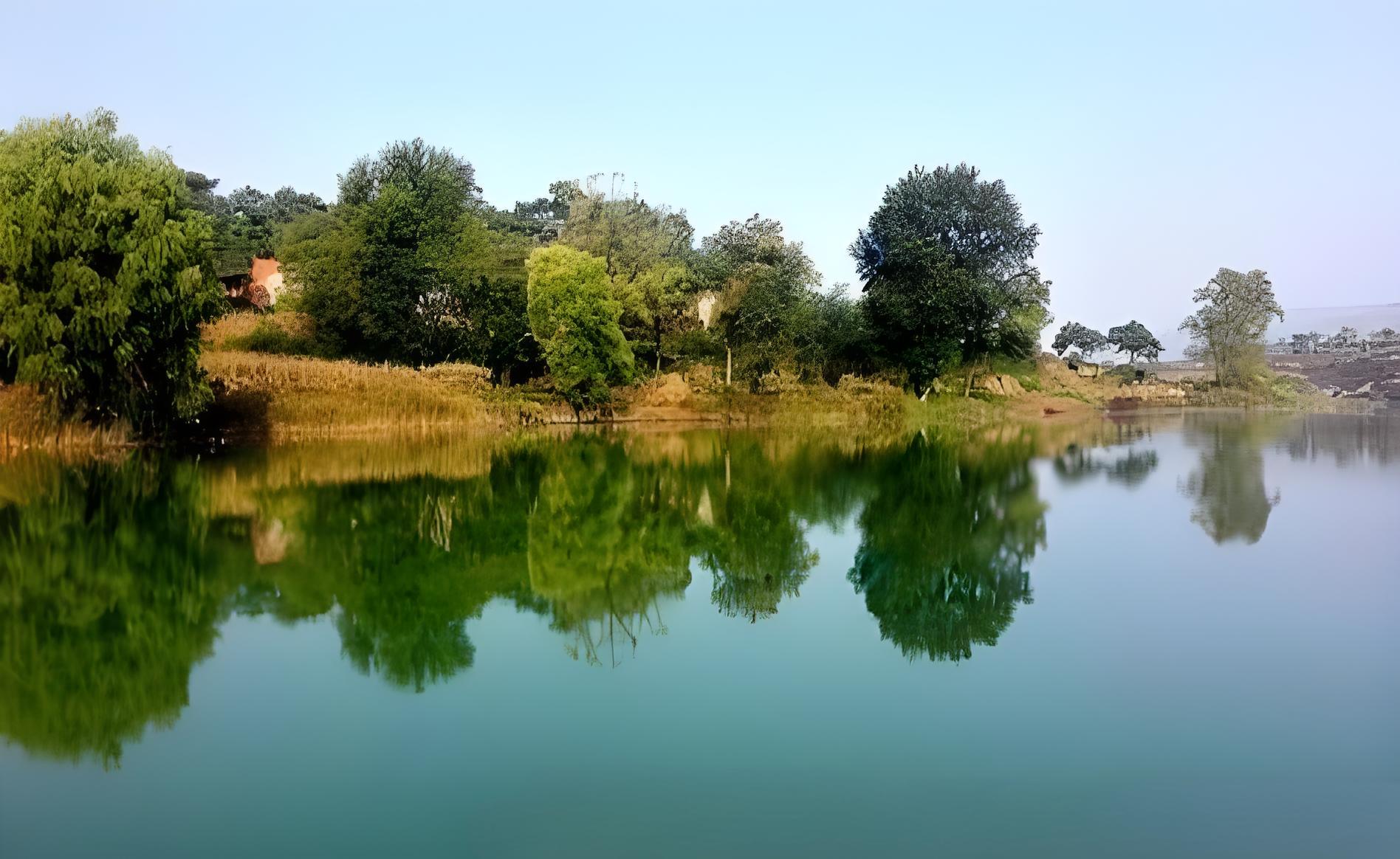 淇河湿地图片