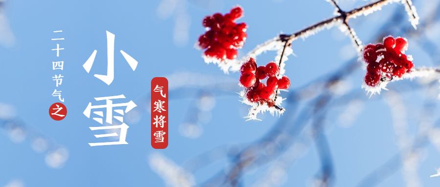 今天小雪丨你的养生秘诀已发货,请注意查收