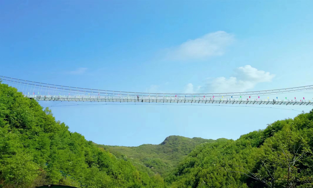 微信图片_20230314100934.png