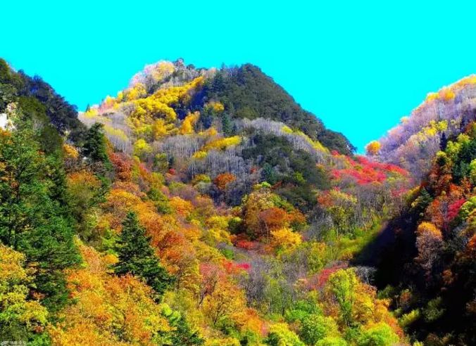 临潼附近看枫叶景点top10,华清宫只能排第四,其他几个分别是