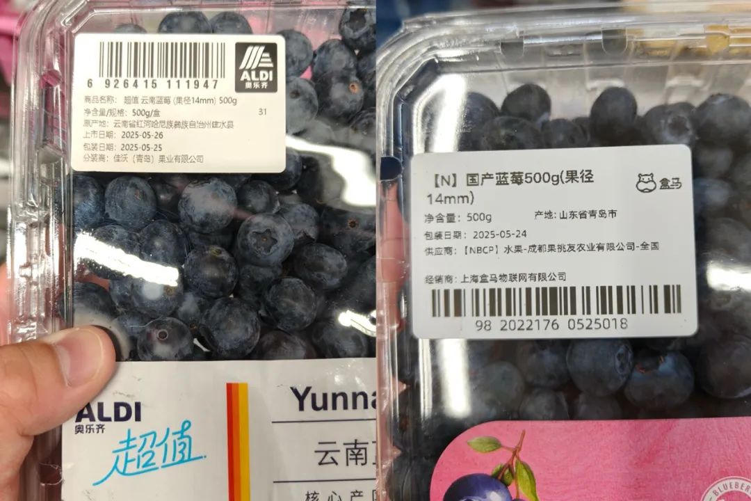 文本
描述已自动生成