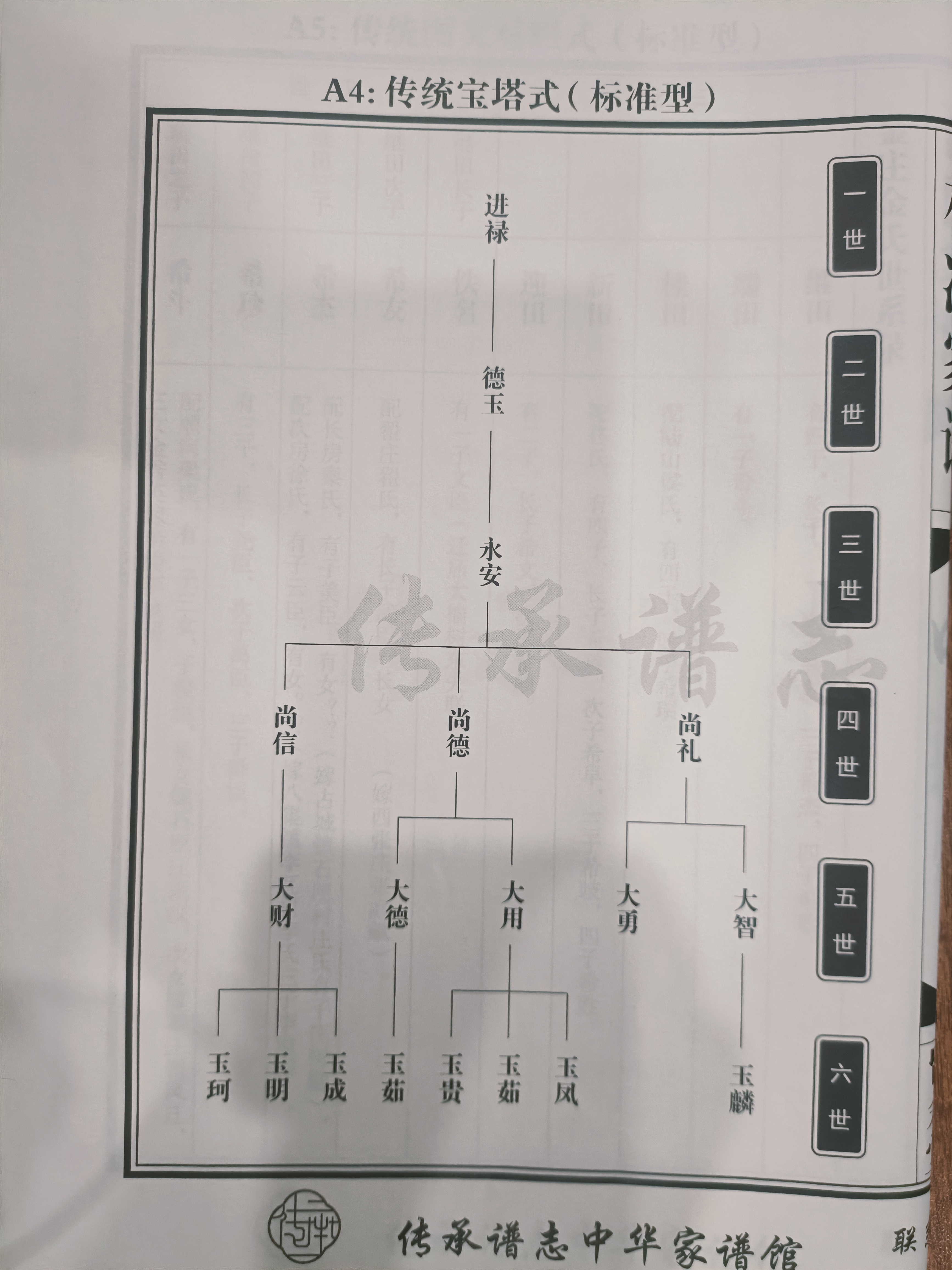 修家谱,世系图都有哪些格式?
