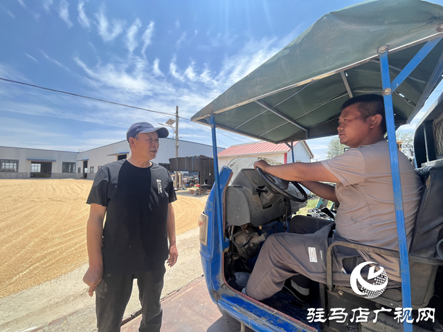 上蔡县耕夫种植专业合作社：科技助力夏粮收购 颗粒归仓助农增收