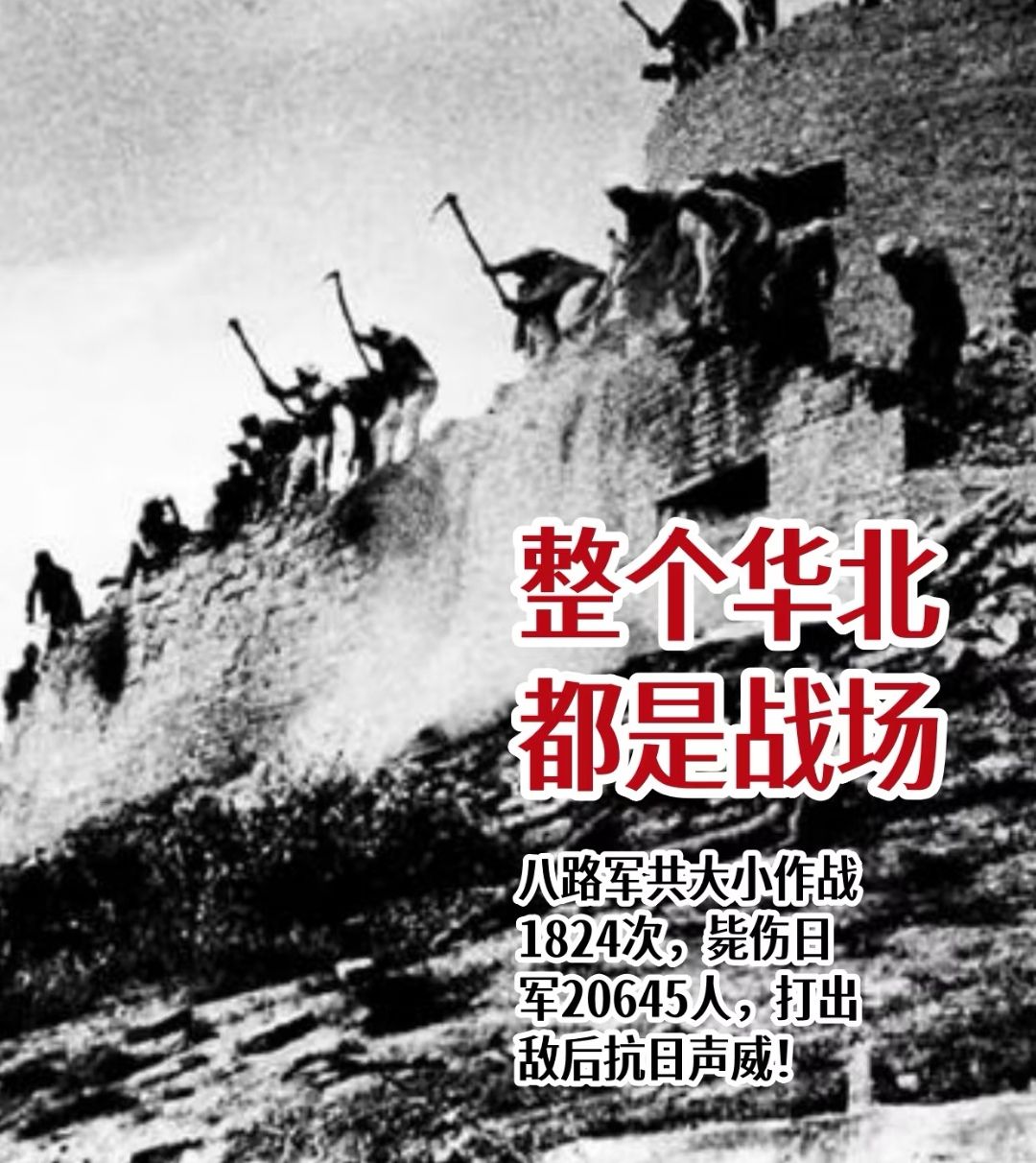 中流砥柱(图3)