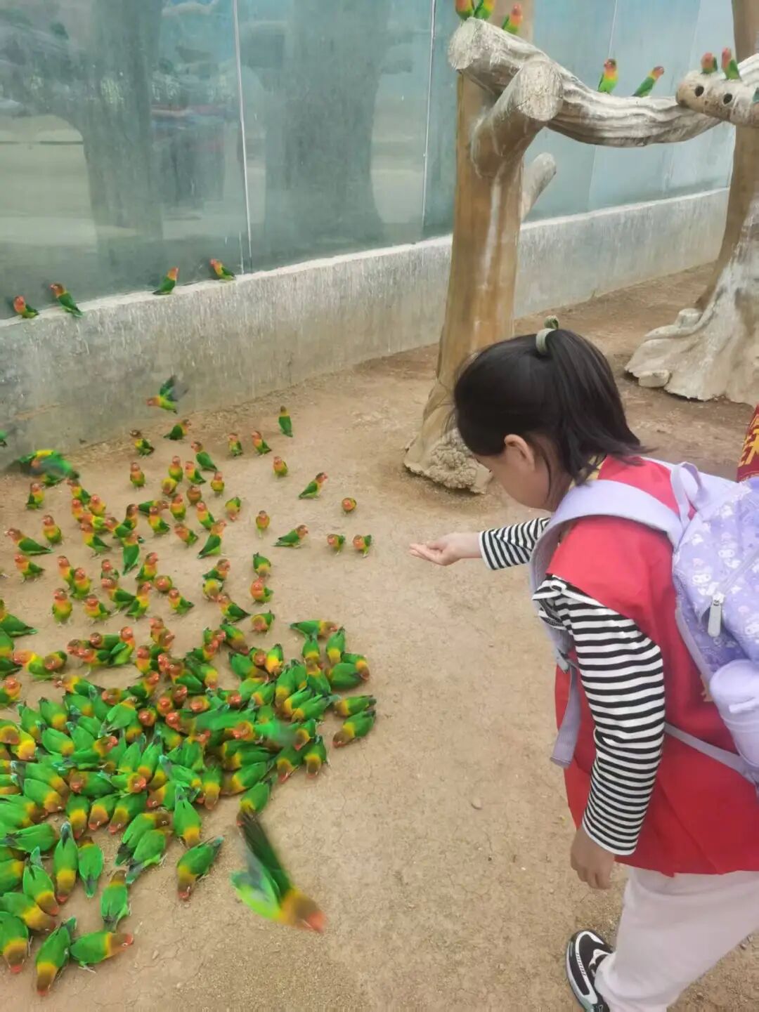 圖片