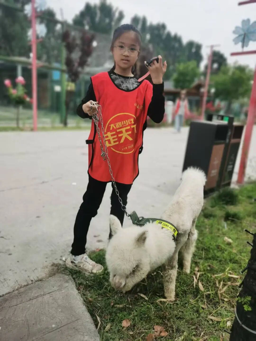 圖片