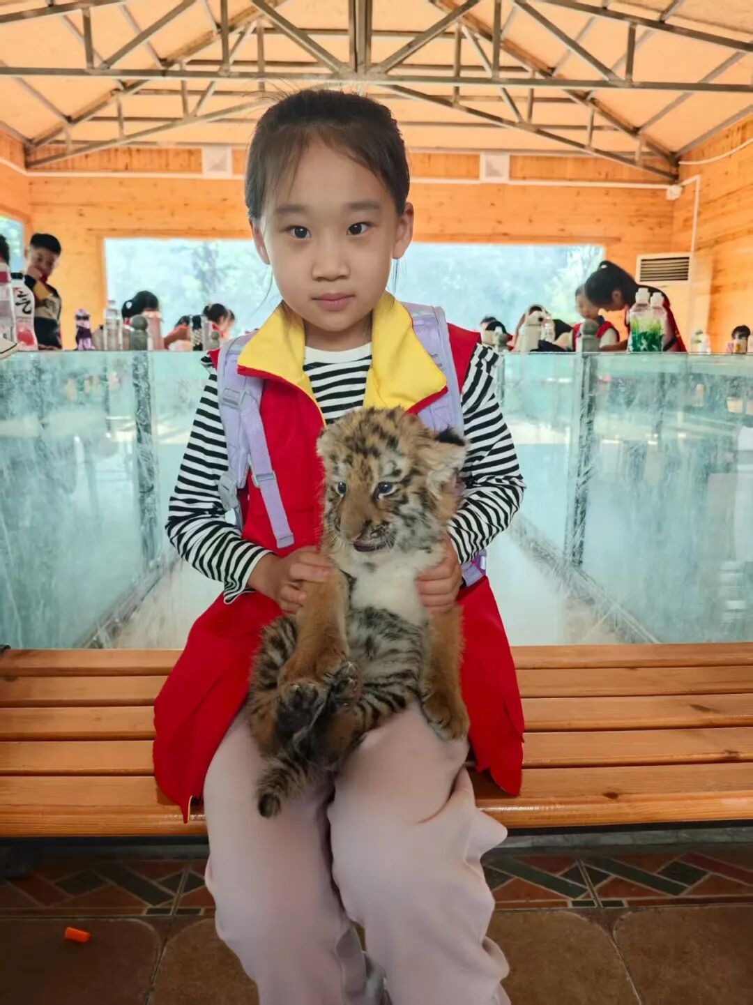 圖片
