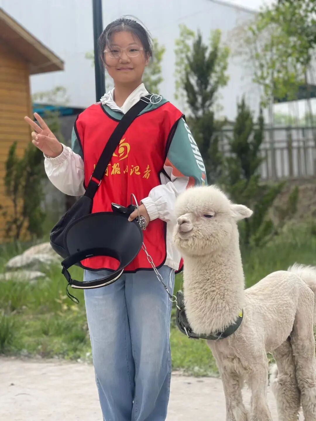 圖片