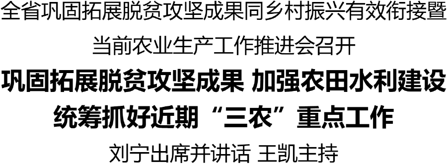 全省鞏固拓展脫貧攻堅成果同鄉(xiāng)村振興有效銜接暨當前農(nóng)業(yè)生產(chǎn)工作推進會召開 劉寧出席并講話 王凱主持