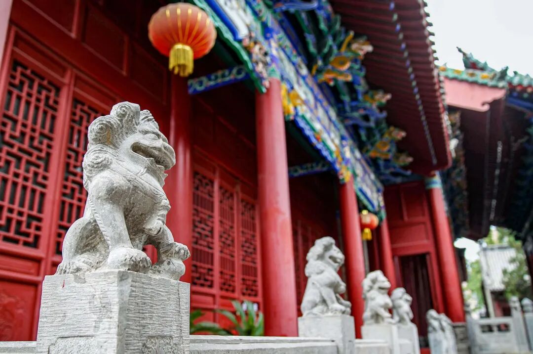 2512270945358914 圖片