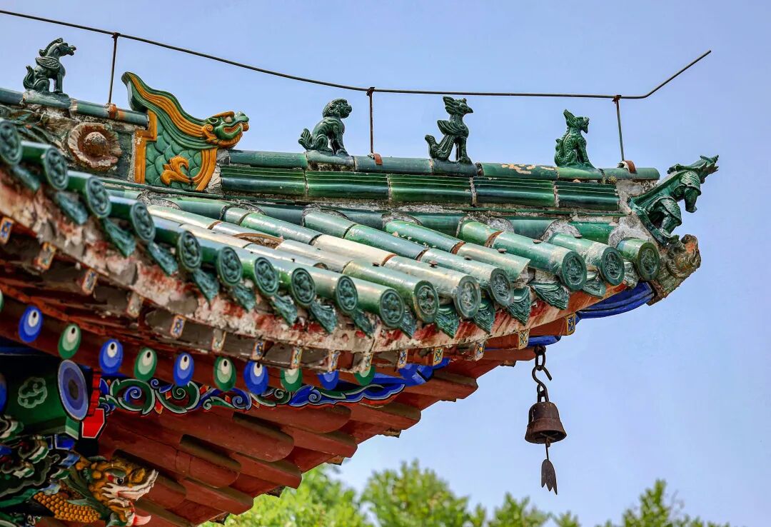 4317748584819945 圖片