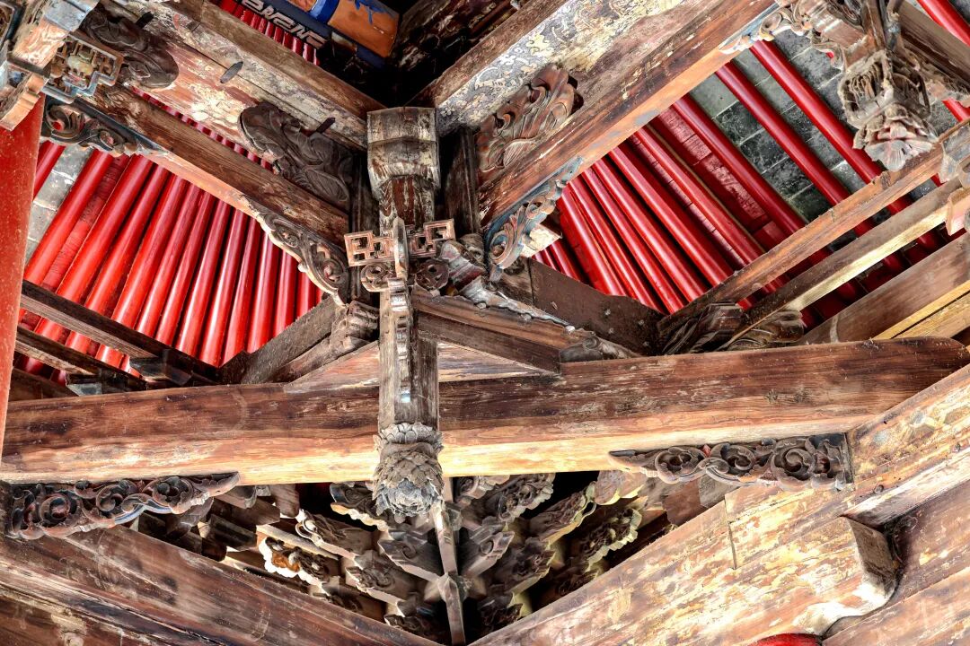 5620745716344448 圖片