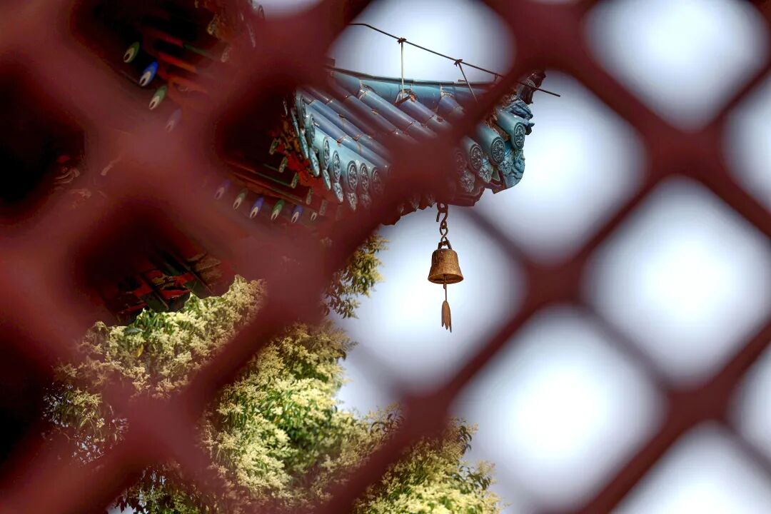 12988404482907324 圖片