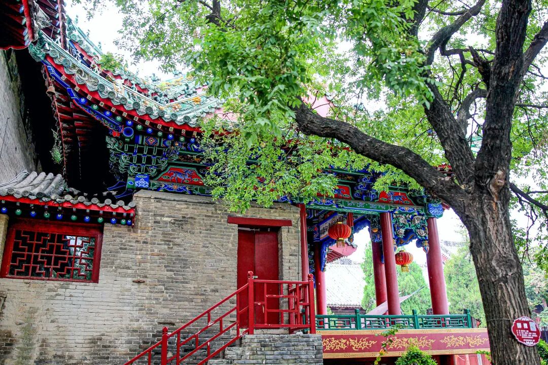 25364141961419164 圖片