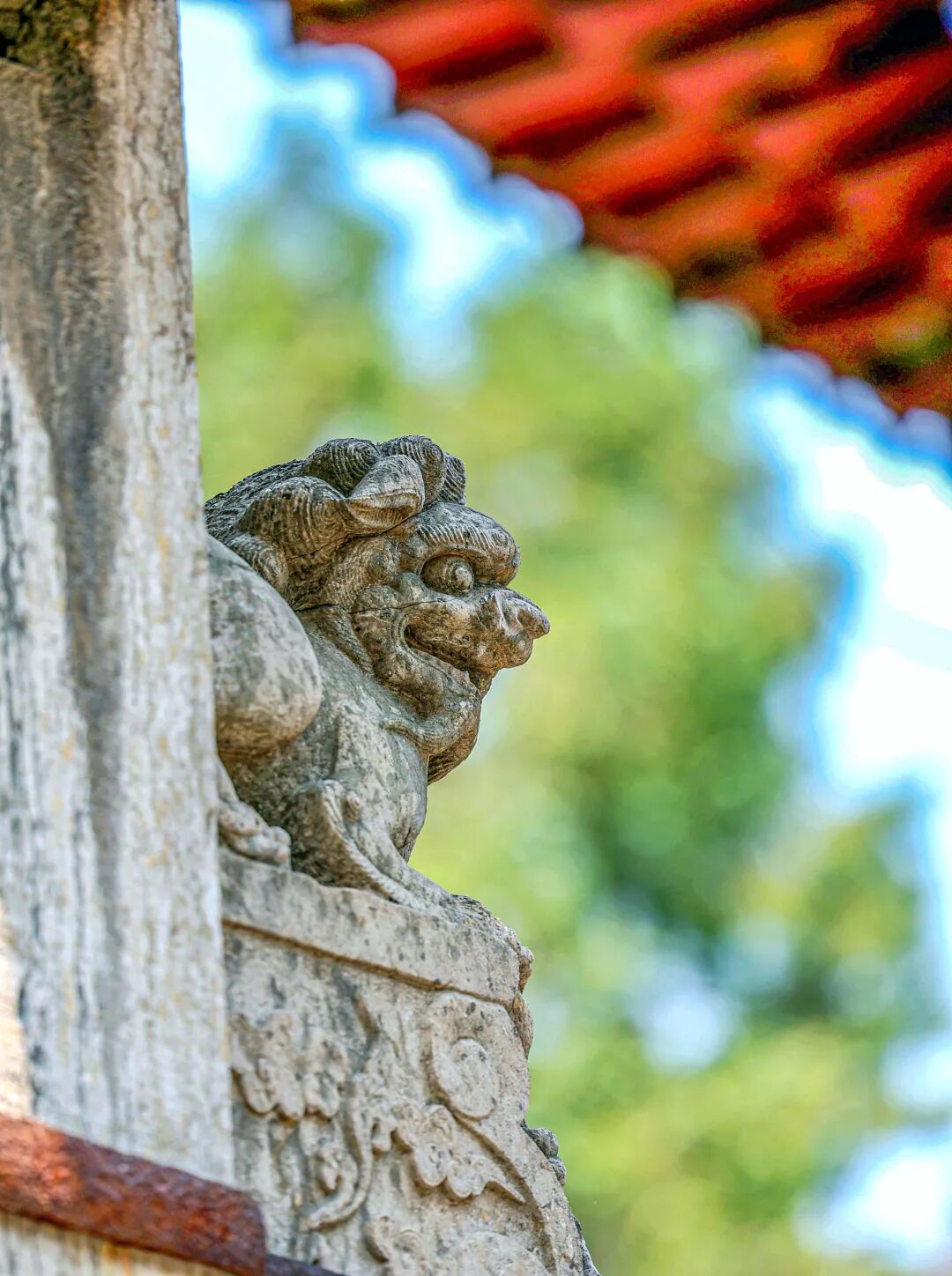 7870450089788238 圖片