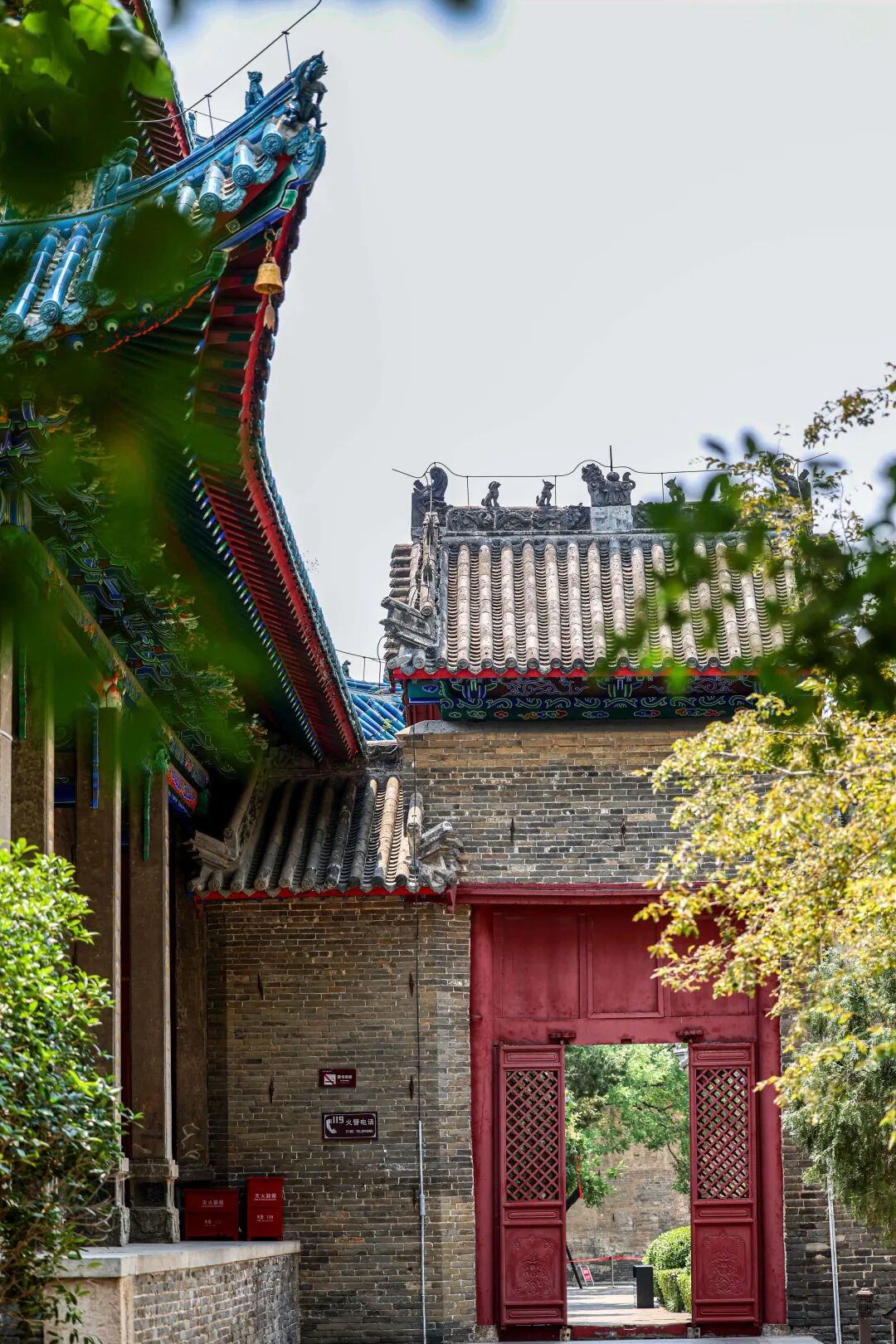 1818435953448908 圖片