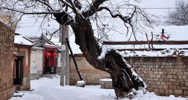 散文 雪落在馬關(guān)的村莊