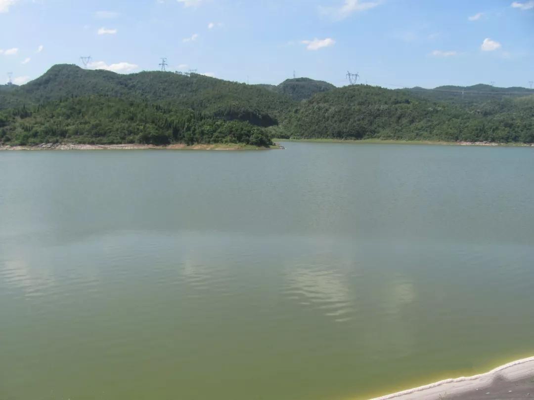 龍泉鎮法官泉村 美麗鄉村建設結碩果,村容美鄉風淳民富足