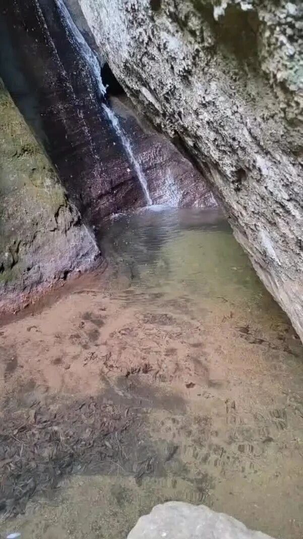 wxv_2701013764309188608