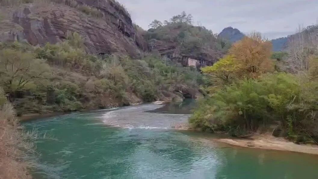 wxv_2701011987987890177