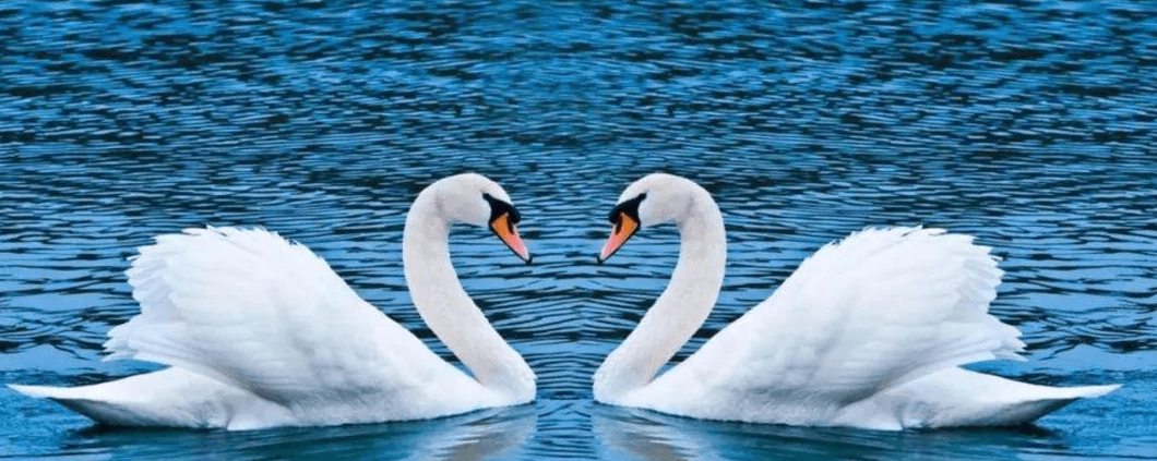 自己給自己戴綠帽 腦洞佳作看哭了