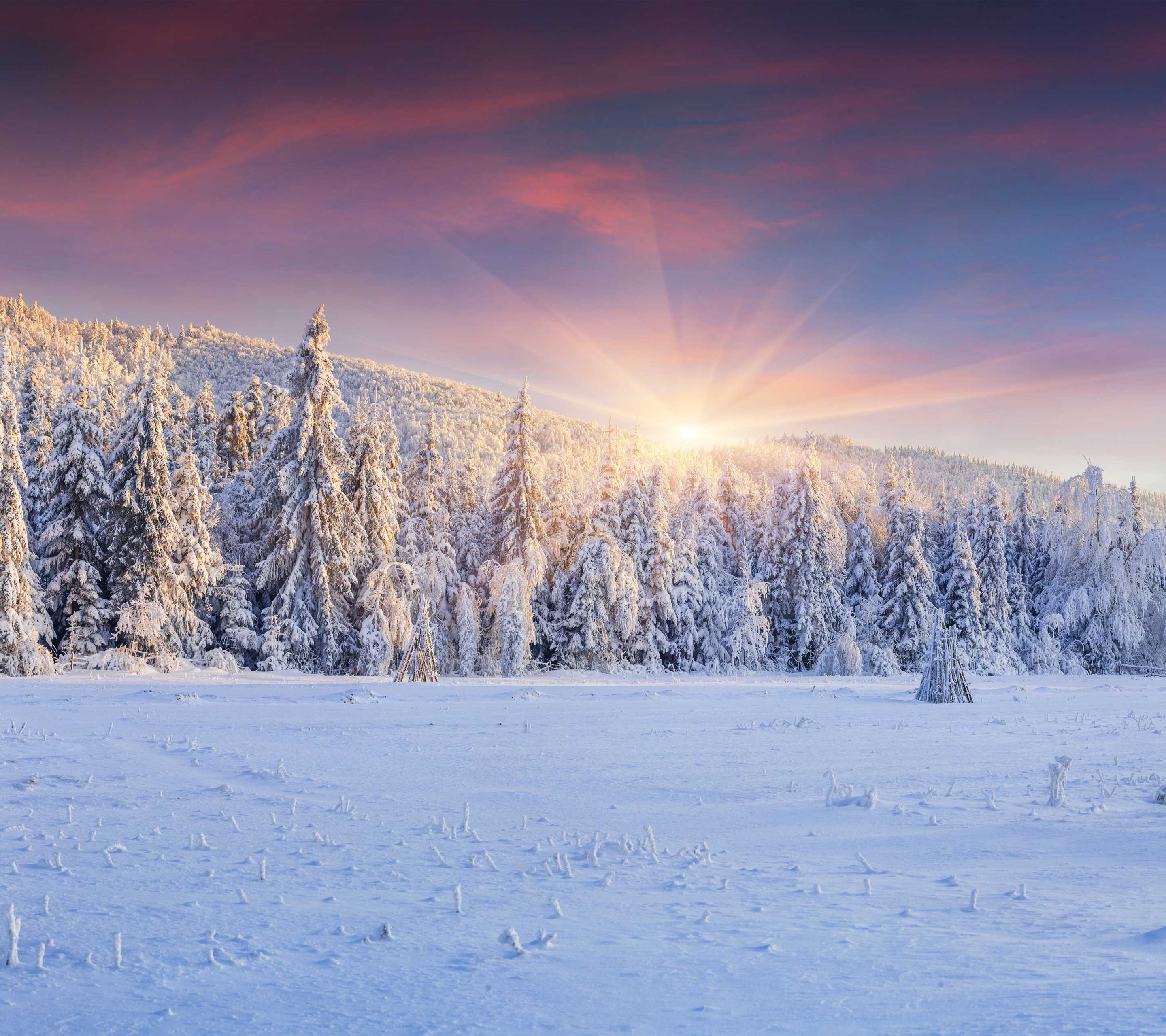 冬日雪后森林的日出美景