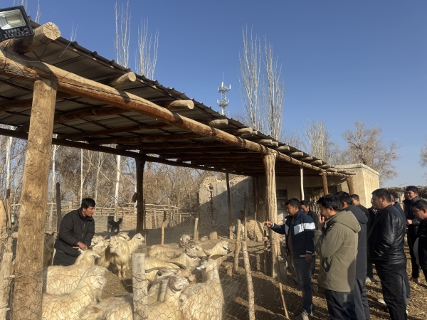 圖片2.jpg 圖片2.jpg