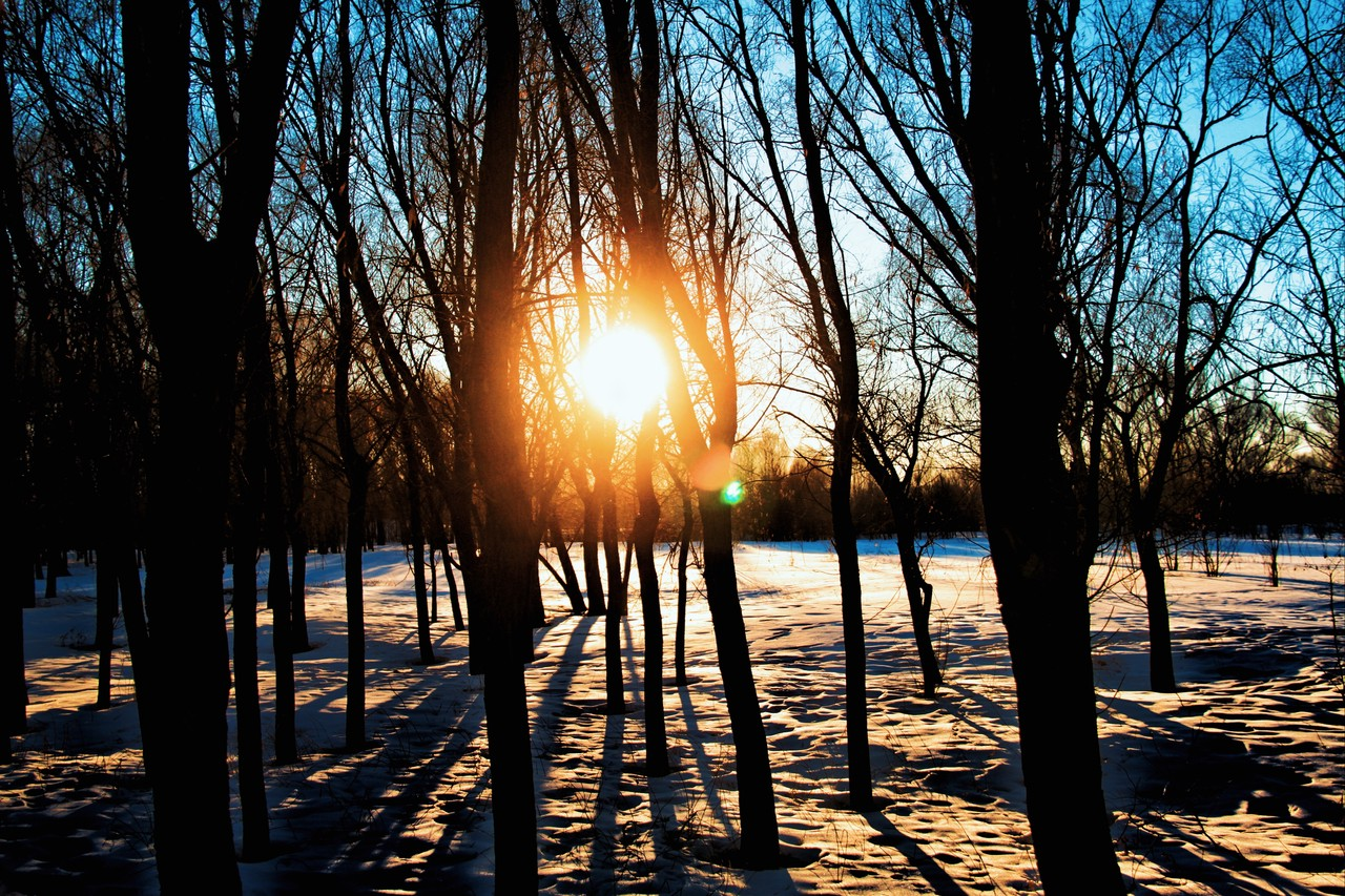 冬日暖陽下的希望