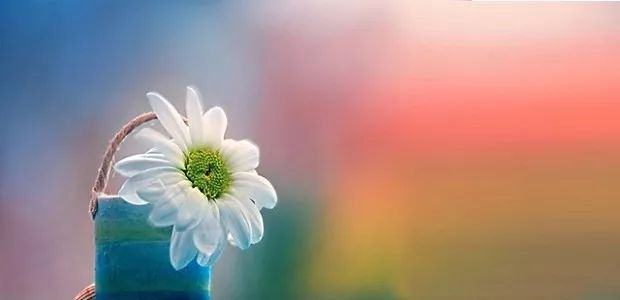 令人懷念的畢塬路