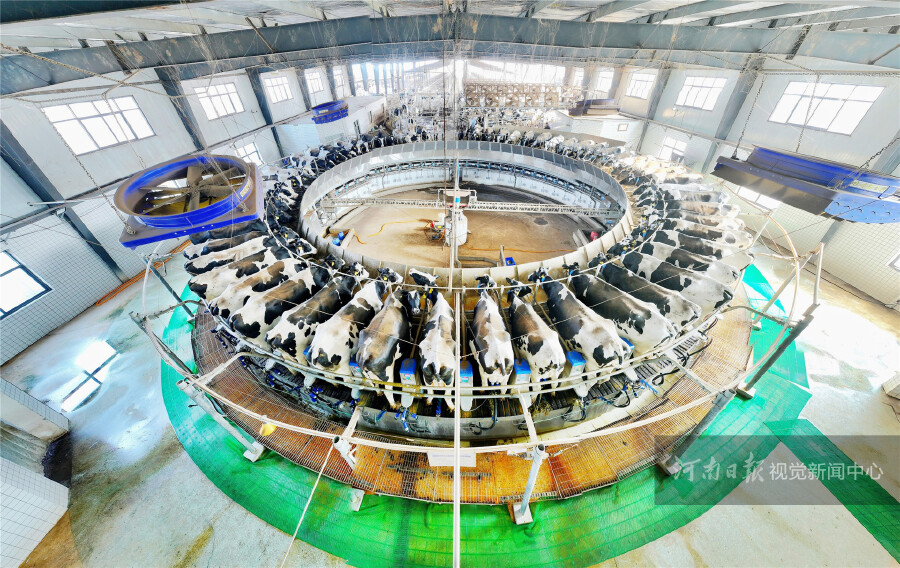 10174106092098989 TZZB 2025121702.jpg