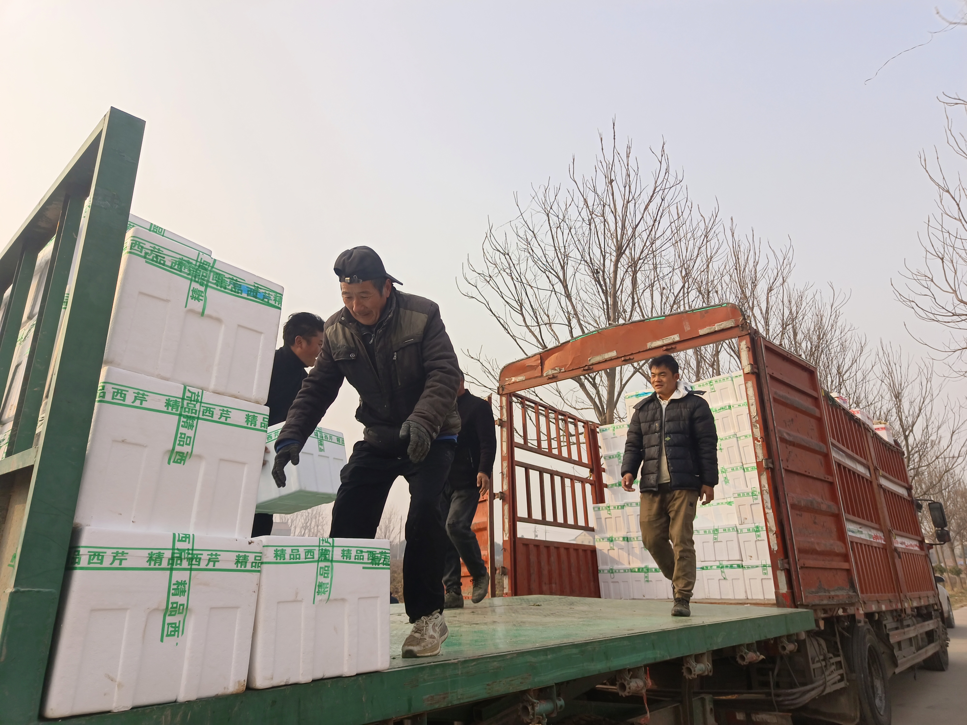 14407098449378352 微信圖片_20251217091227_204_152.jpg