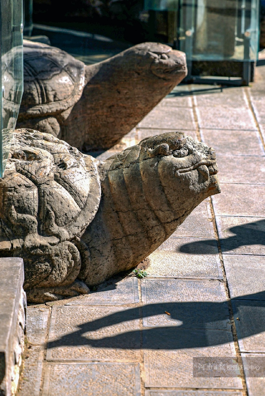 6847186553594979 23.jpg