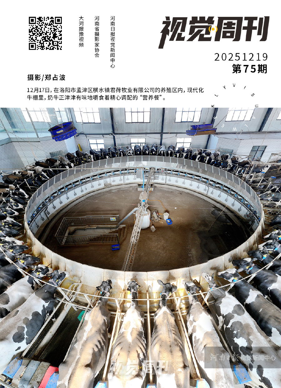 16292341507168385 視覺周刊海報模板111.jpg