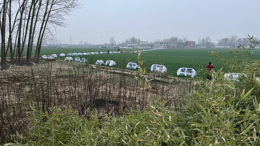 图片[31]-【影踪】周一渤：马街日记（1）2026.2.27-华闻时空