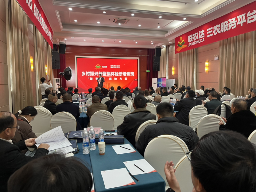 从“一把手”到“新农人”李南沉们的勇气与远方—顶端新闻