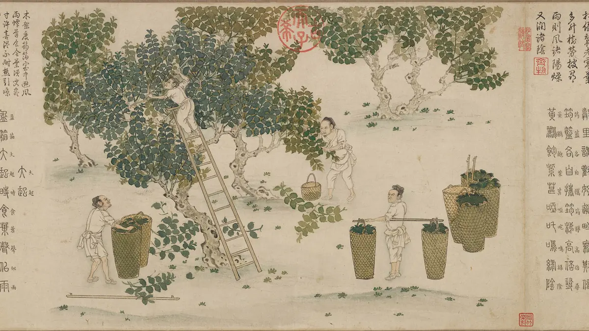 中国5000年绘画史——历代名家：元·程棨—顶端新闻
