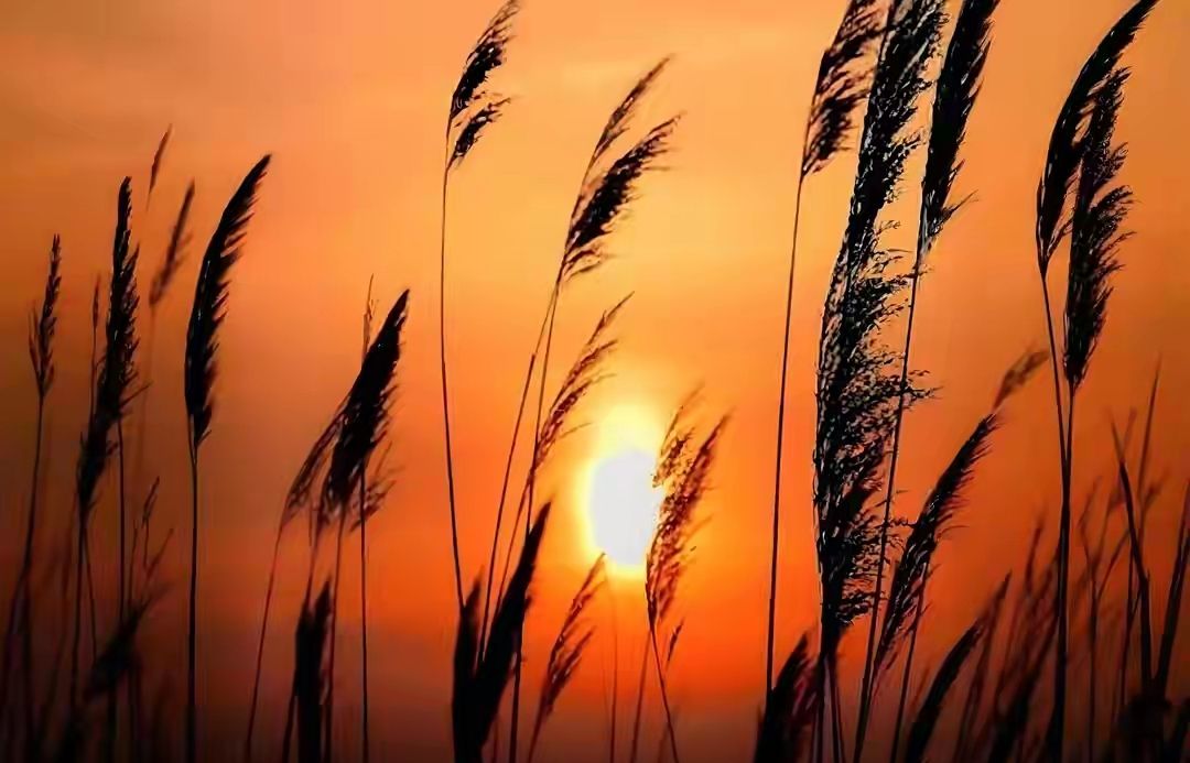 名家.桂清扬:致那场坍缩的爱情(组诗)-华闻时空