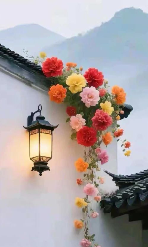 ��һ��Т˳�����ĶԸ�ĸ����