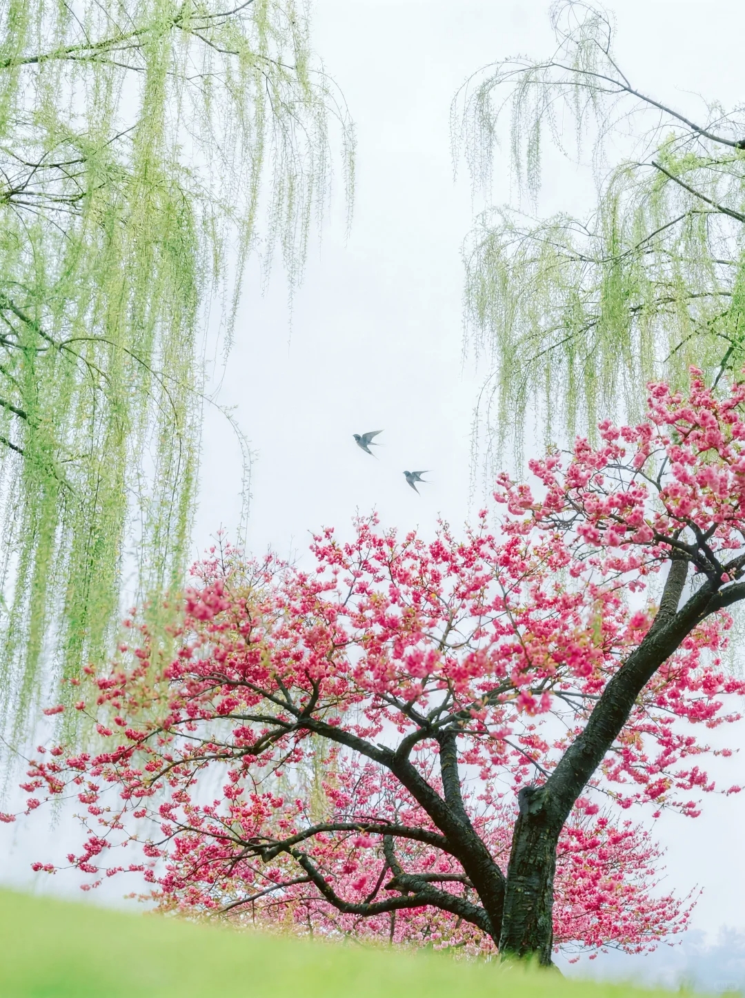 ʫ�����������������䲥�ִ���.��Ҧ���������µĴ��졷������..