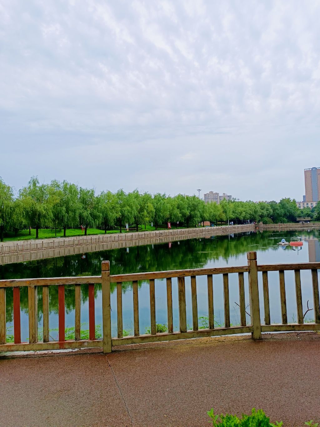 陈蕃公园 · 全景鸟瞰
