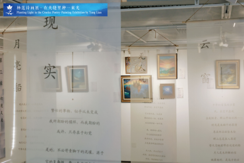 杨莲：我们都曾活在夹缝里，而她选择种下一束光（图15）