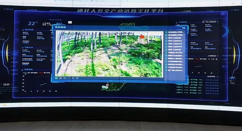 通化人参全产业链数字化平台