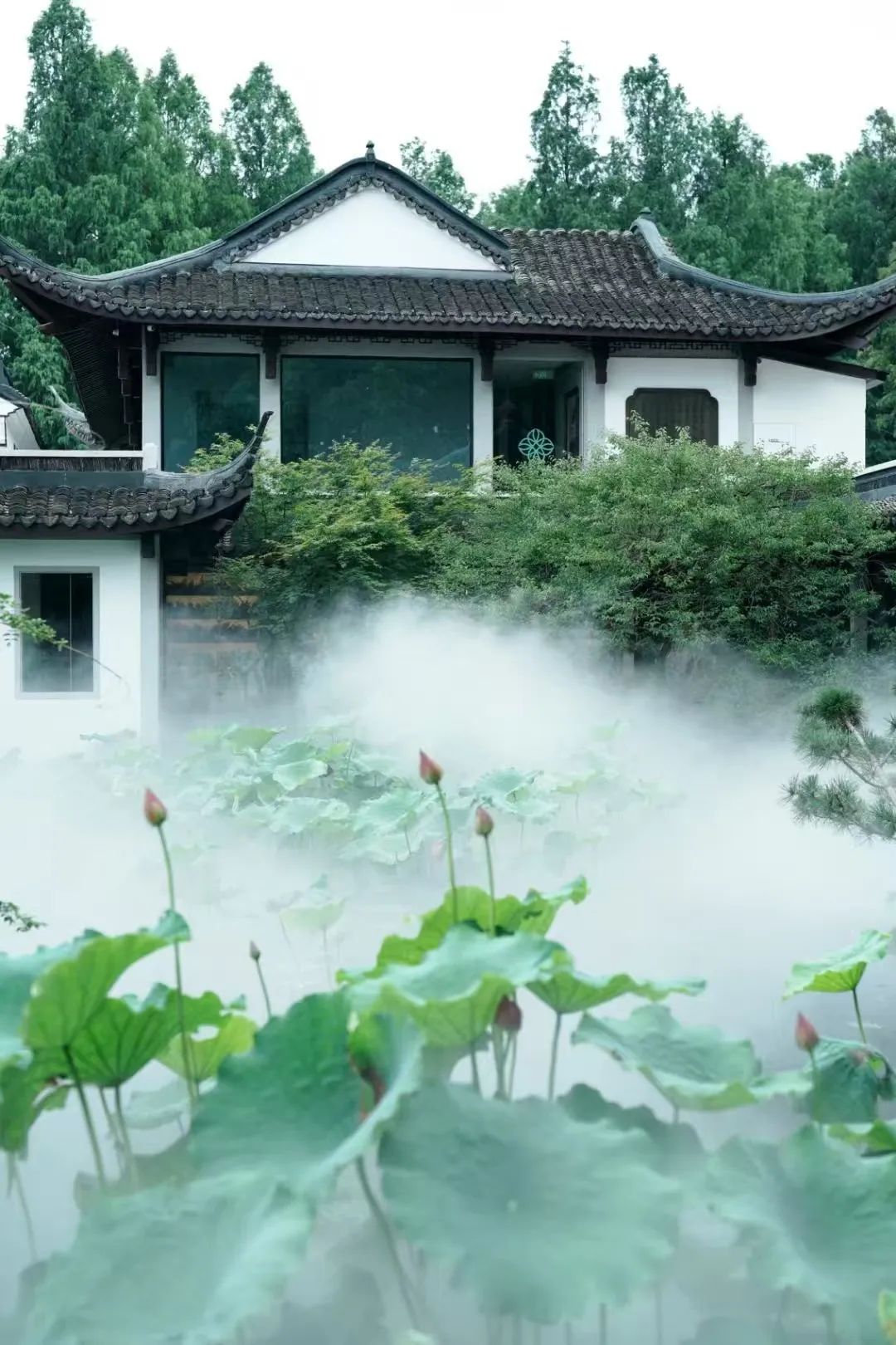 微信图片_20250620200412.jpg