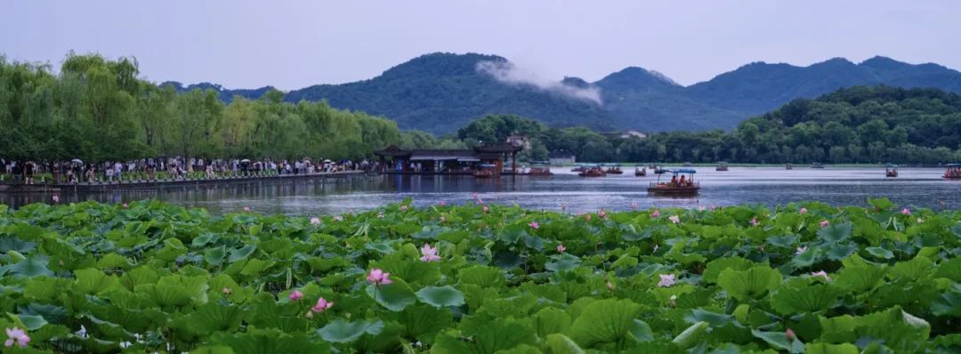 微信图片_20250620192814.jpg