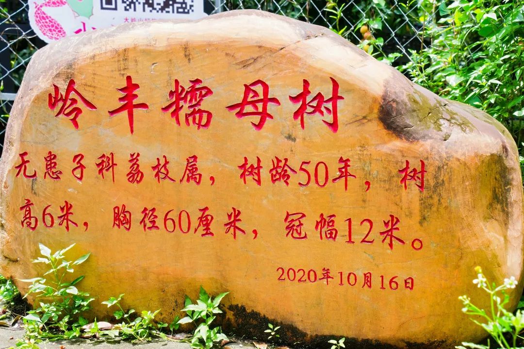 DSC01878-opq3742962550.jpg