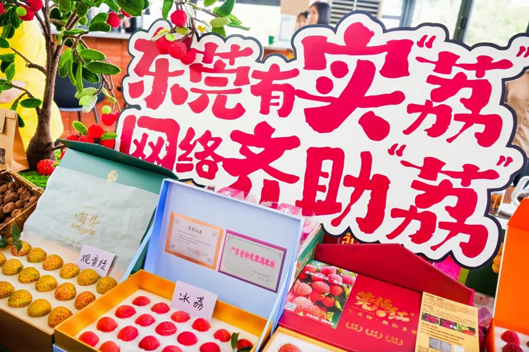 DSC01981-opq3744815353.jpg